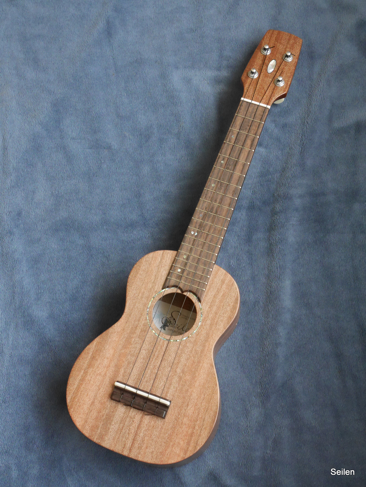 SLS-2300 アカギ